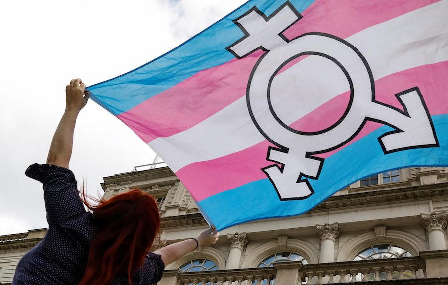 Germany elects first two transgender women to parliament